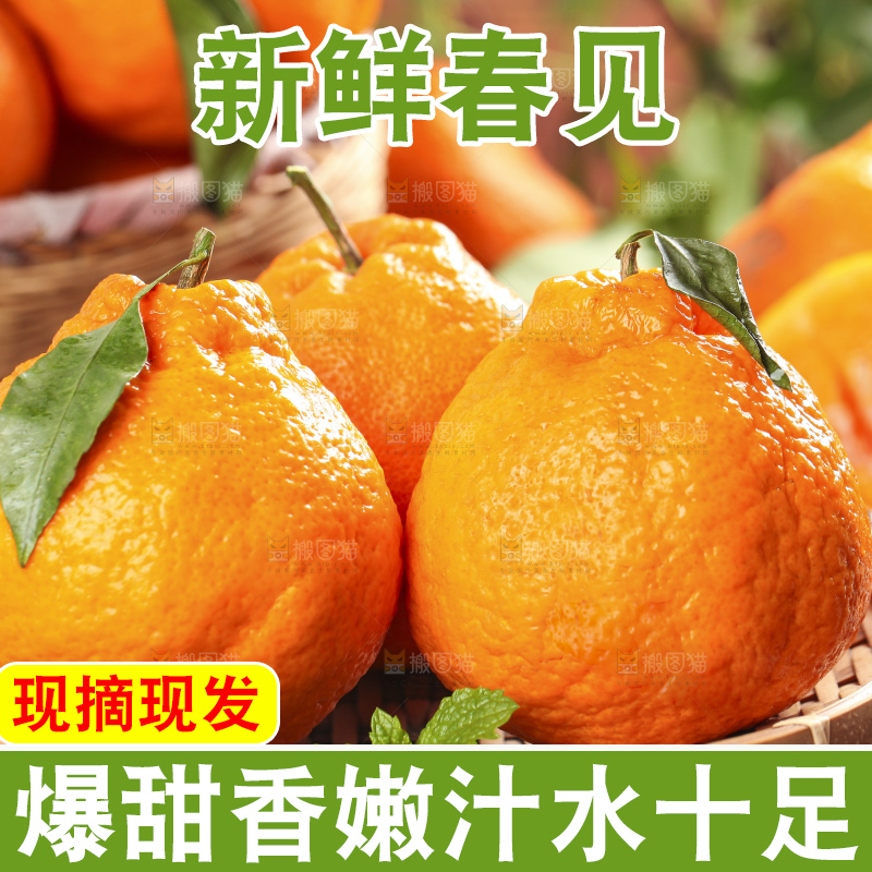 木板上放着四川耙耙柑