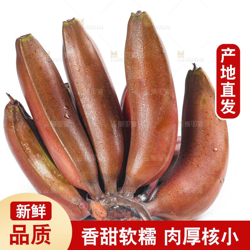 白底上的红皮美人蕉