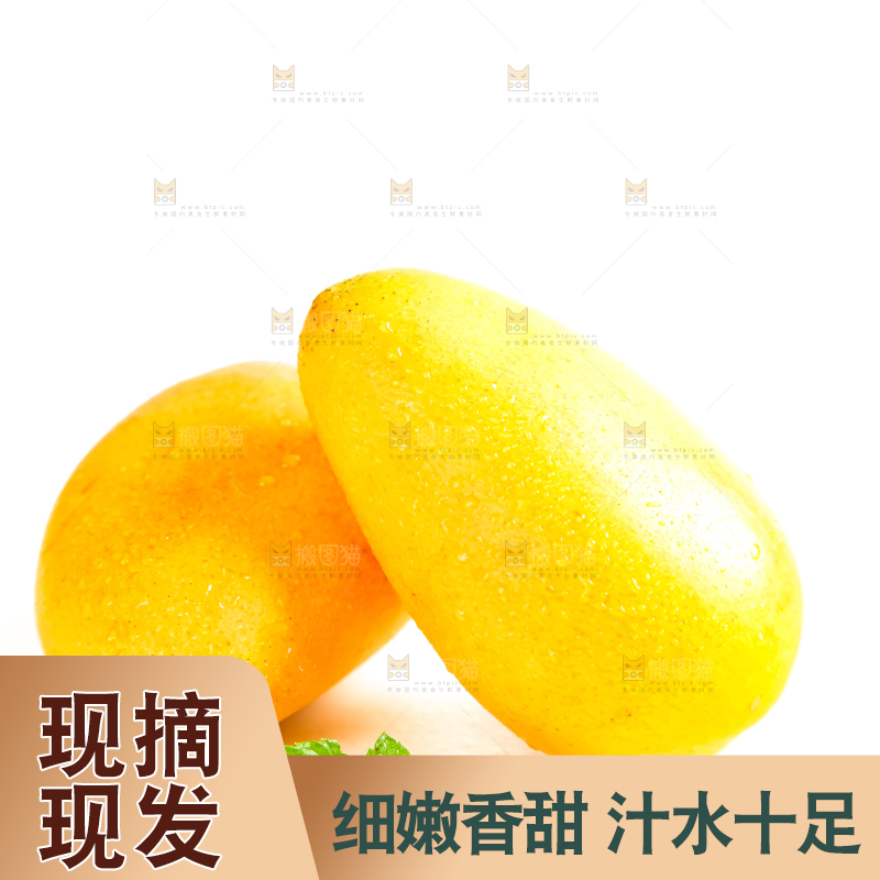 白底上摆放着小台芒