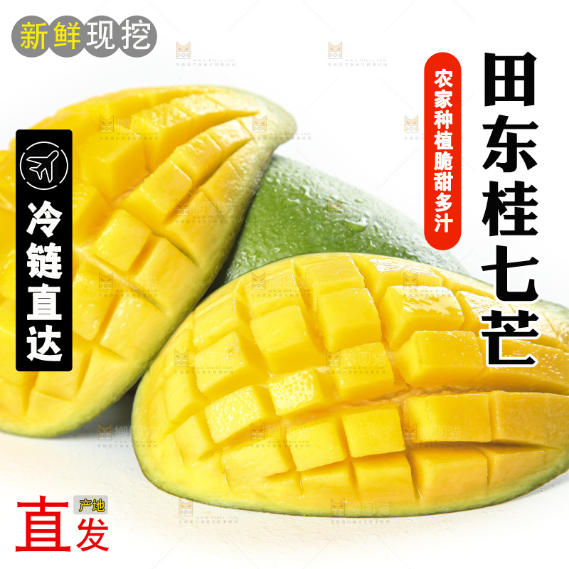 白底上的桂七香芒