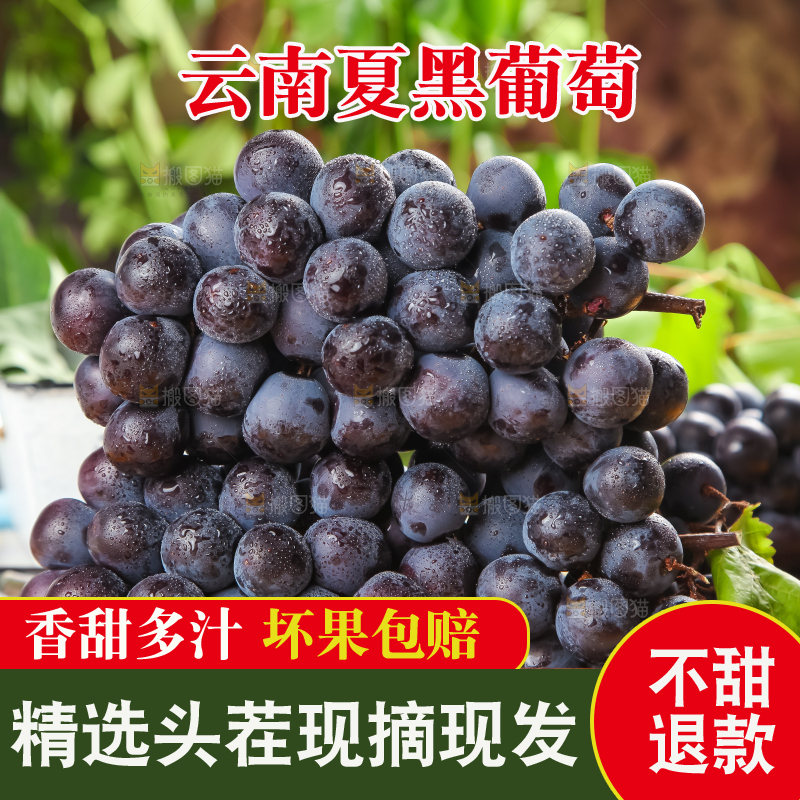 白格子底上放着夏黑葡萄