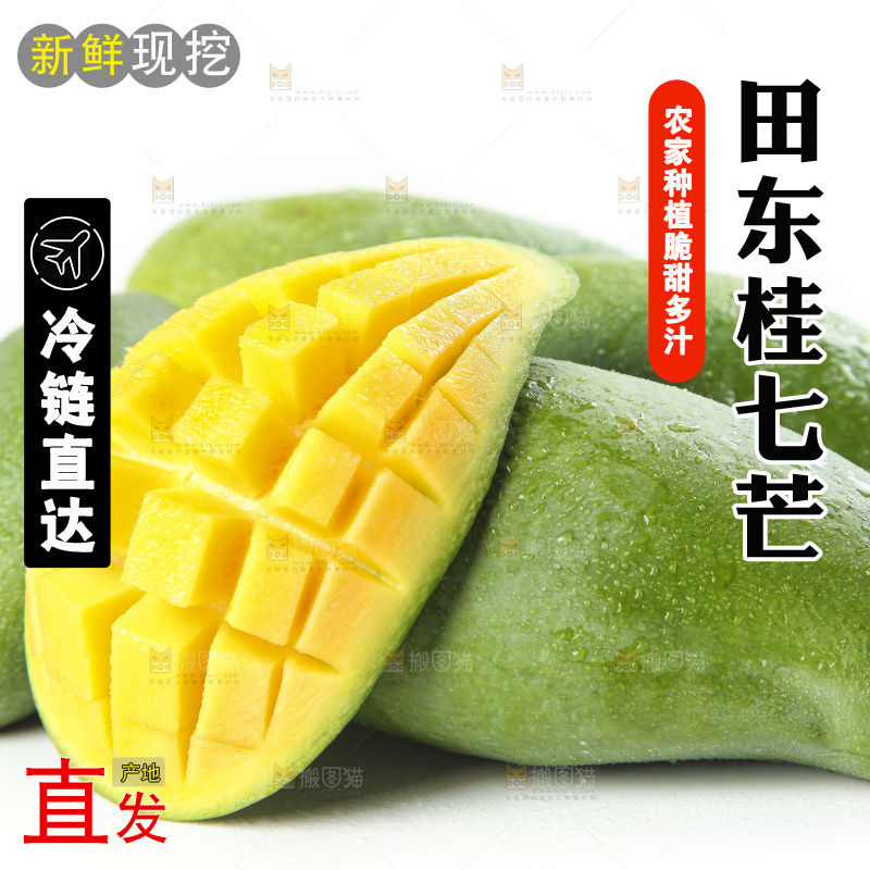 白底上放着青皮桂七芒
