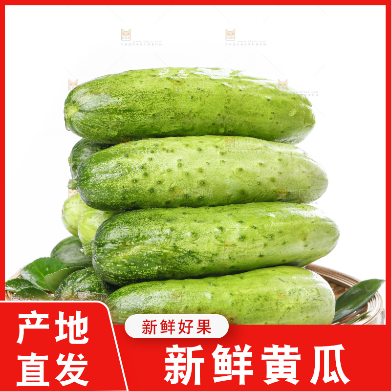篮子里装着蔬菜黄瓜