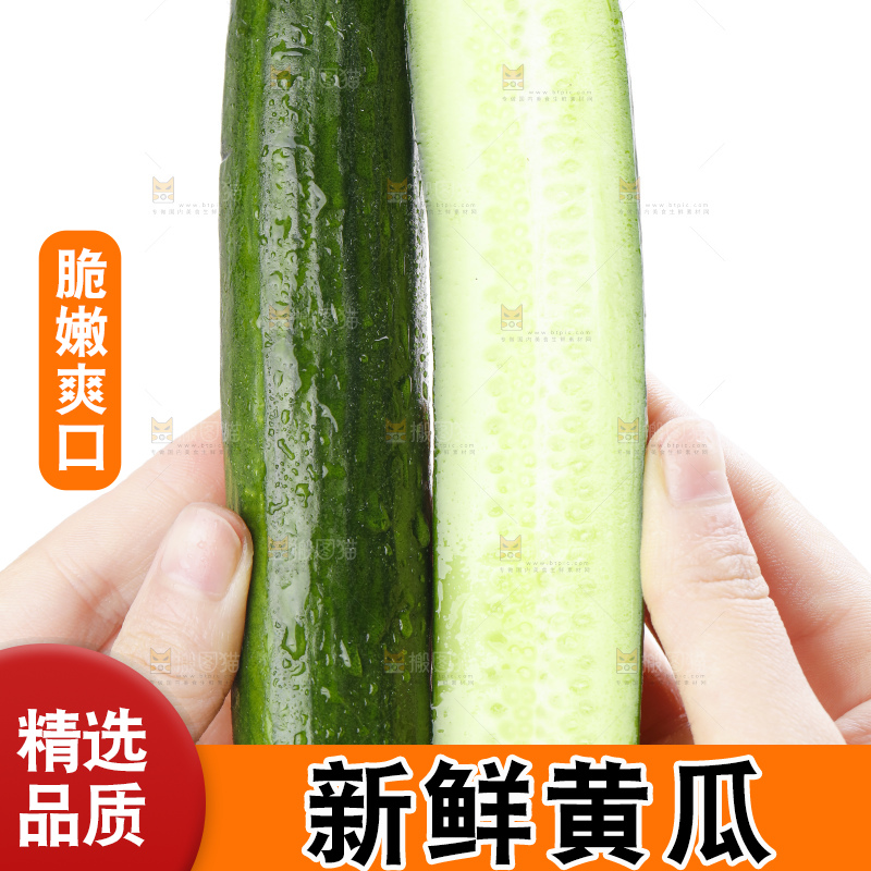 手里拿着嫩黄瓜