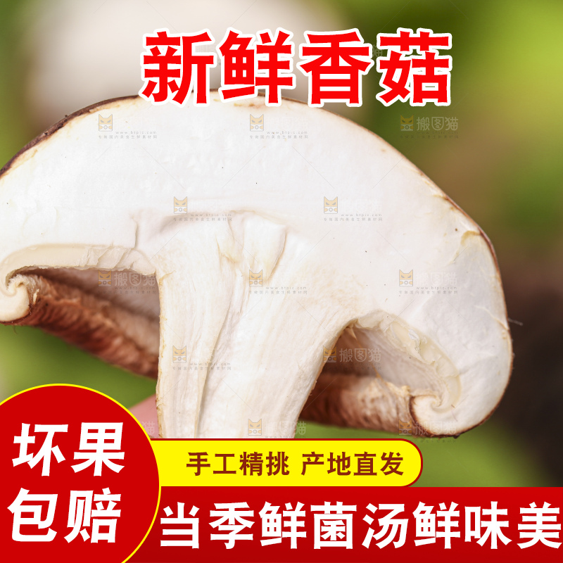 手里拿着香菇