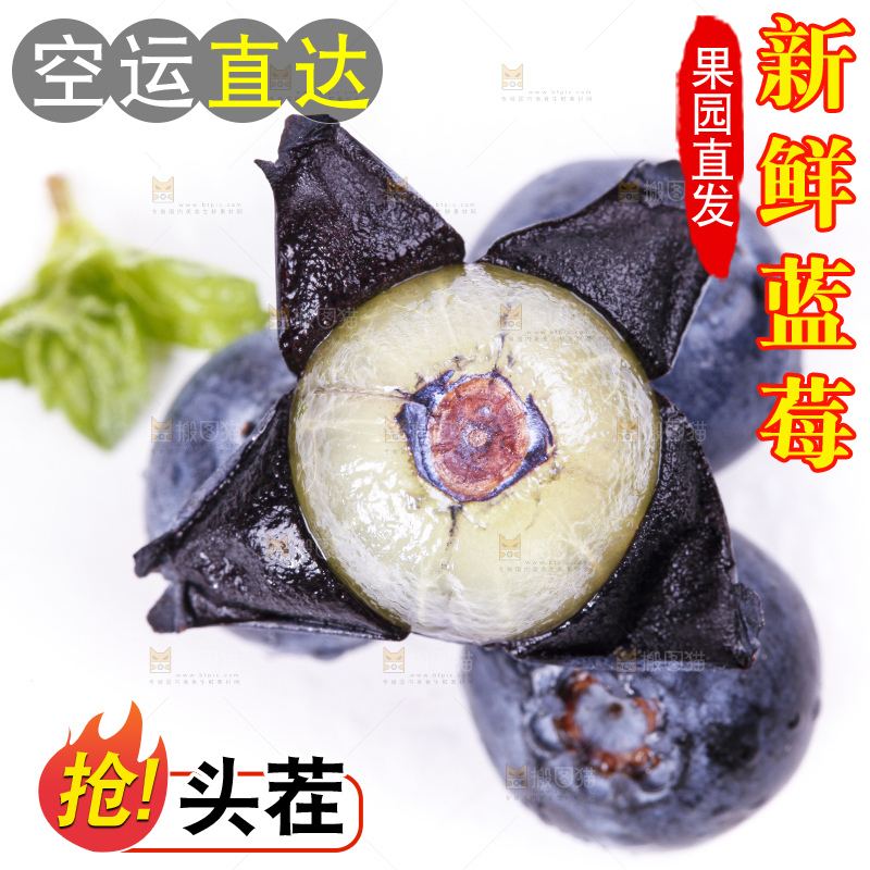 白底上摆放着蓝莓果