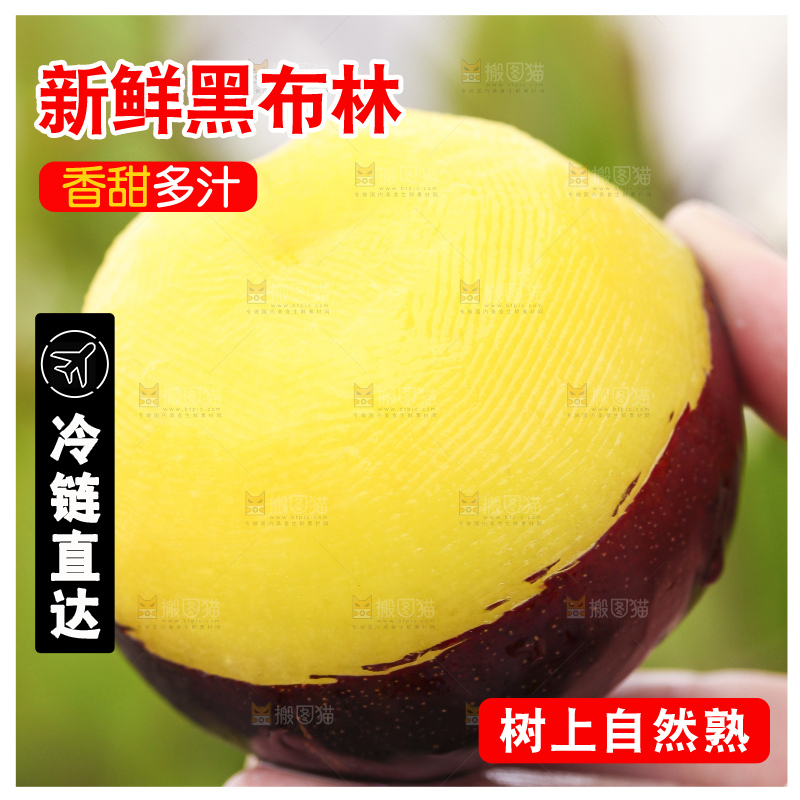 手里拿着黑布林