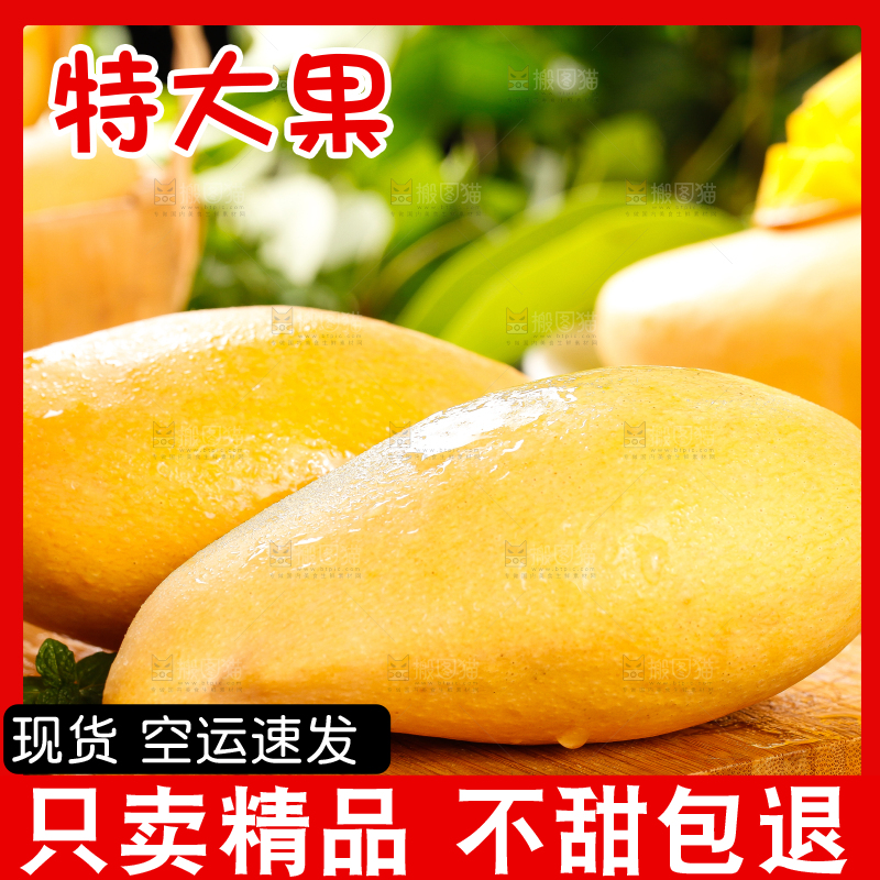 木板上放着云南鹰嘴芒