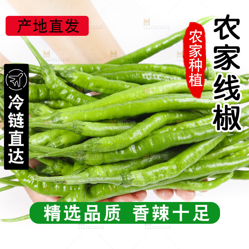 手里拿着线椒