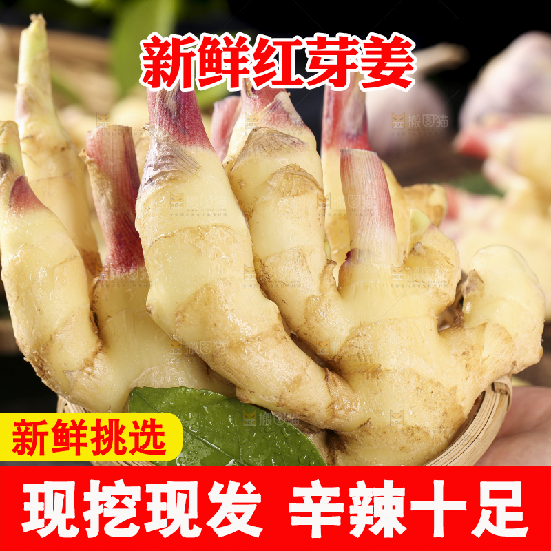 篮子子装着新鲜生姜