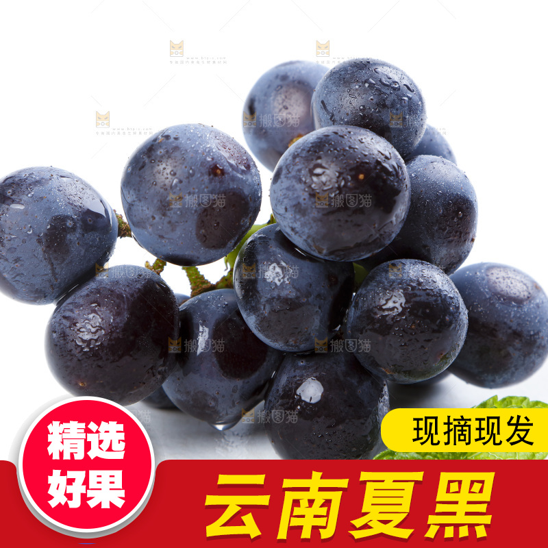 白底上的巨峰葡萄