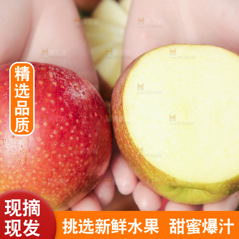 手里拿着秦冠苹果