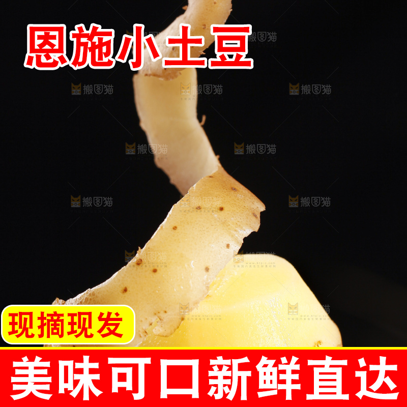 手里拿着迷你小土豆