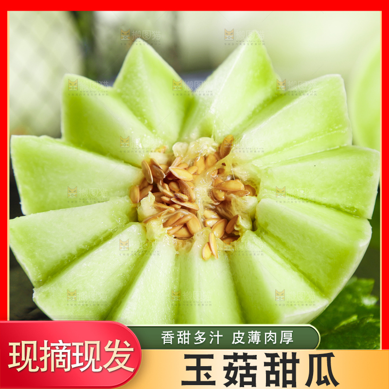 黑底上摆放着山东玉菇甜瓜