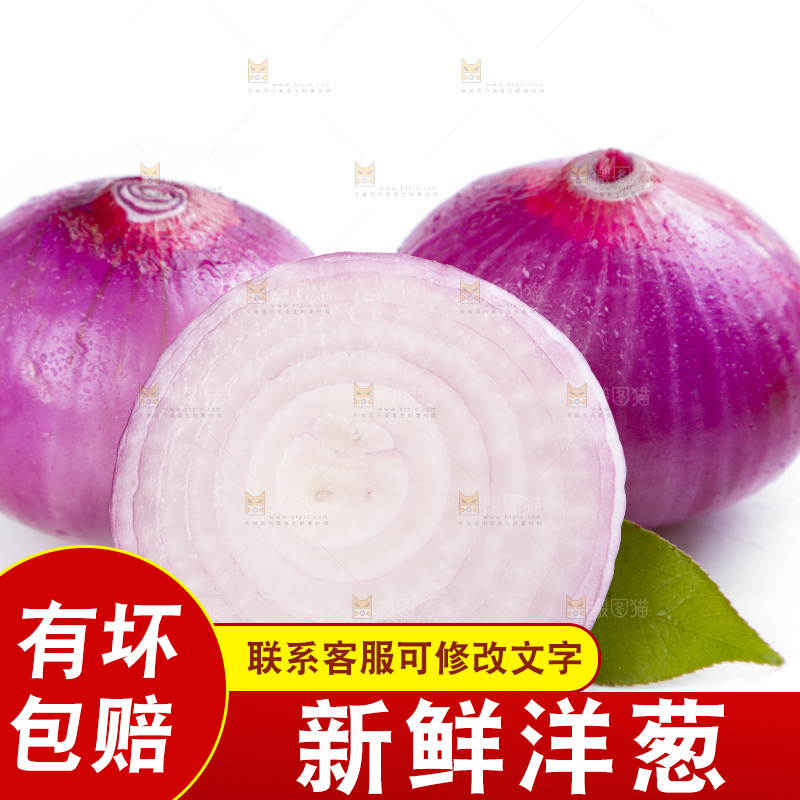 白底上的新鲜洋葱
