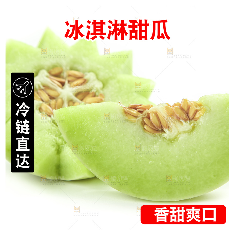 白底上摆放着山东玉菇甜瓜