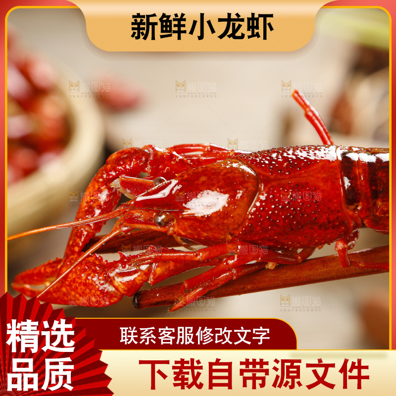 筷子上夹着一只蒸虾