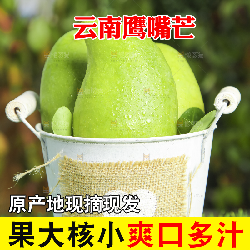 小桶里装着芒果
