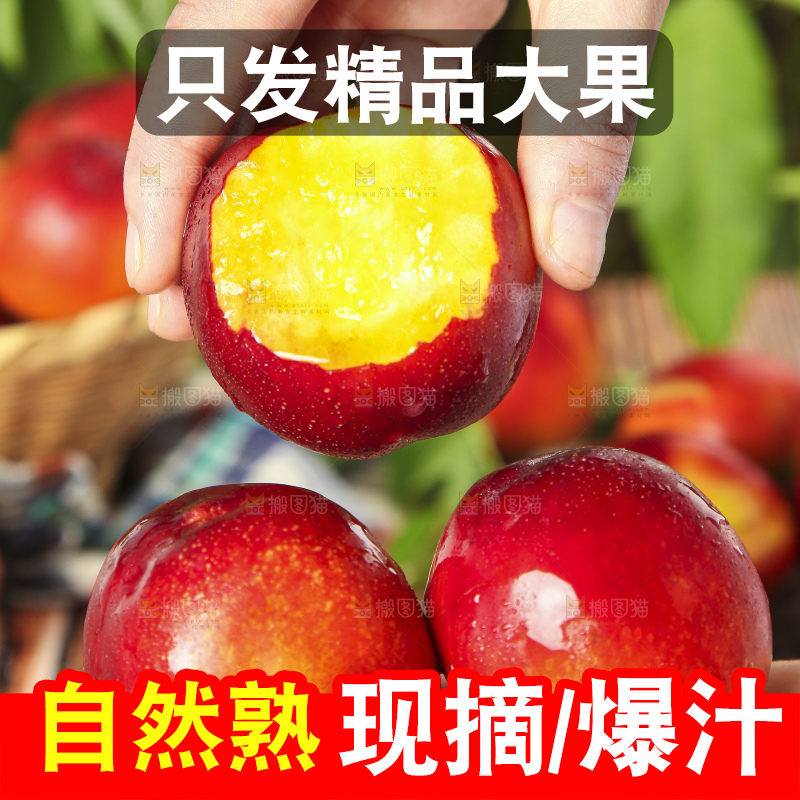 手里拿着新鲜油桃
