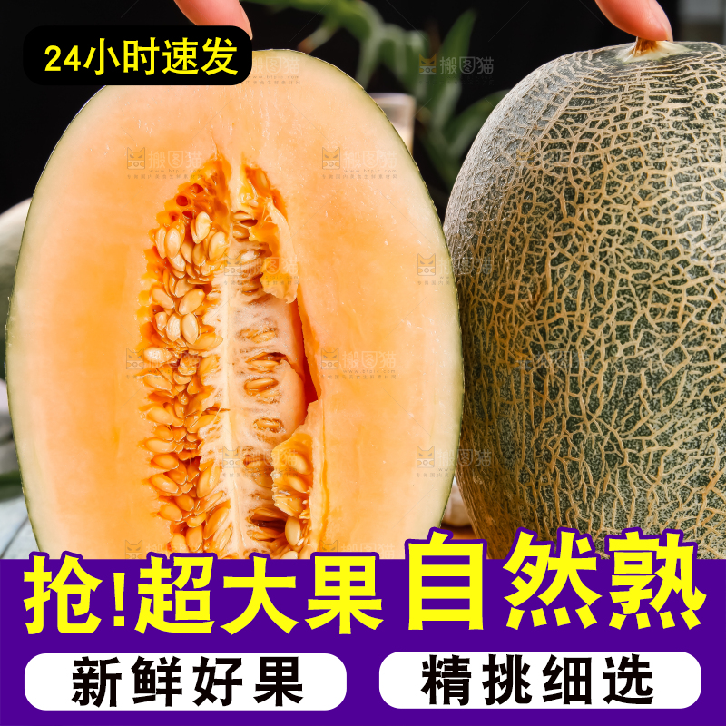 木底上摆放着网纹瓜