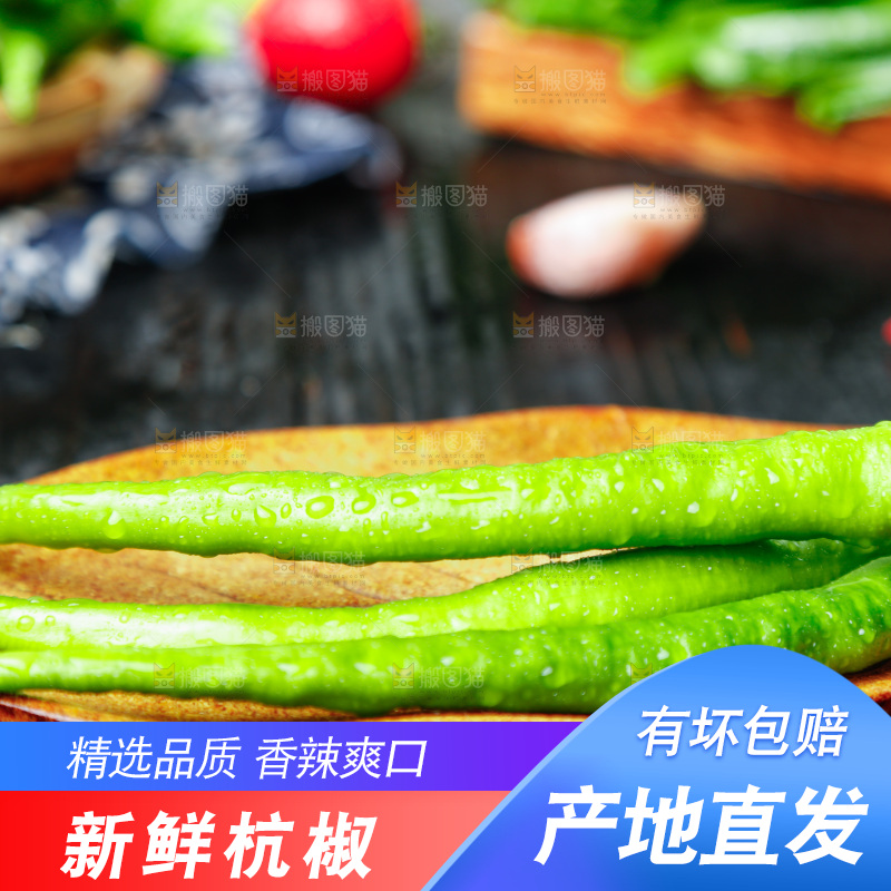 深底上摆放着青尖椒