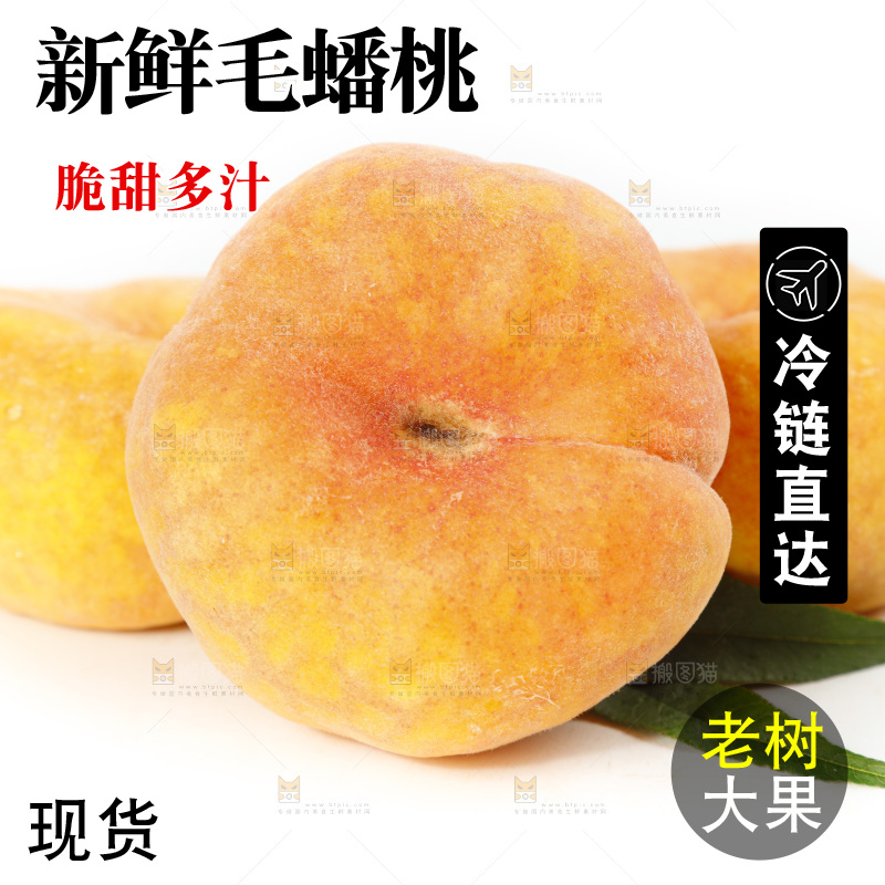白底上的蒙阴毛蟠桃