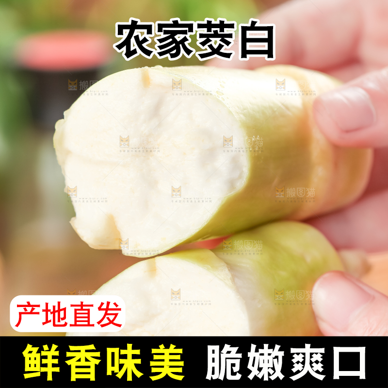 手里拿着湖北新鲜茭白