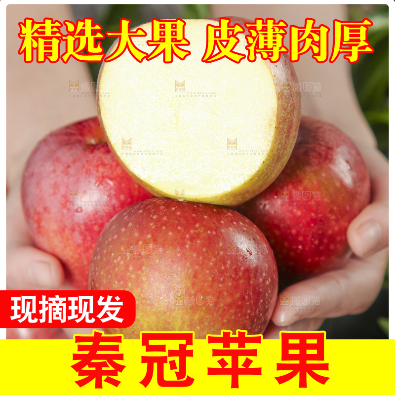 手里拿着陕西秦冠苹果