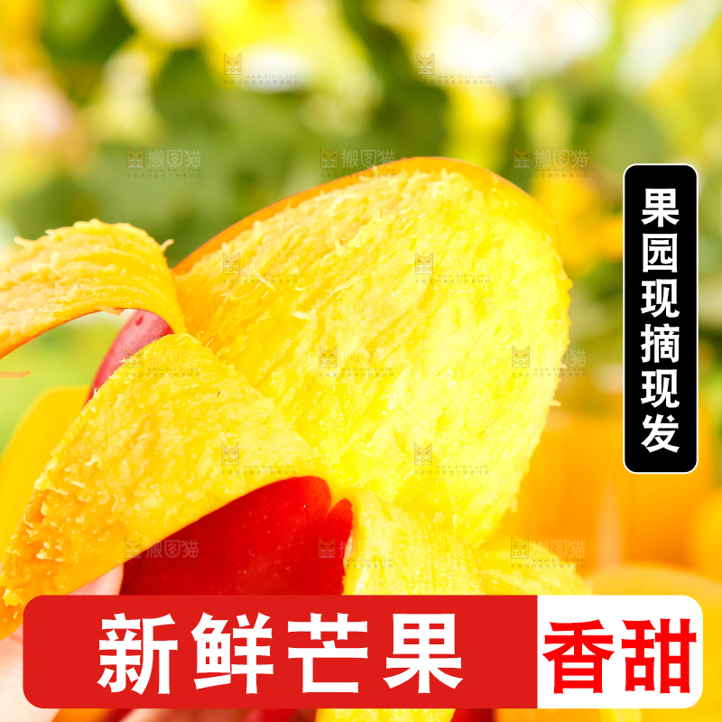 手里拿着吉禄芒果
