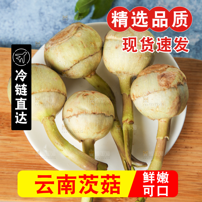 盘子里装着白慈菇