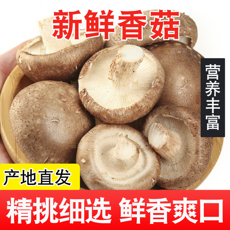 手里端着一盘香菇