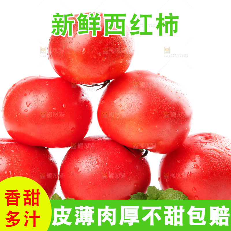 亮底上的新鲜西红柿