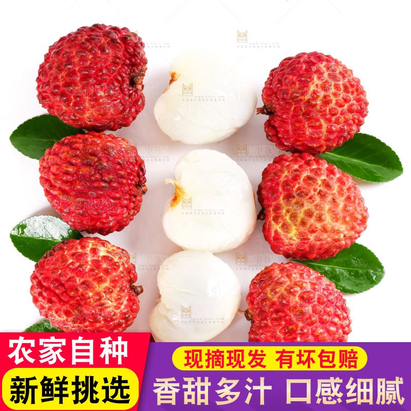 白底上摆放着桂味荔枝