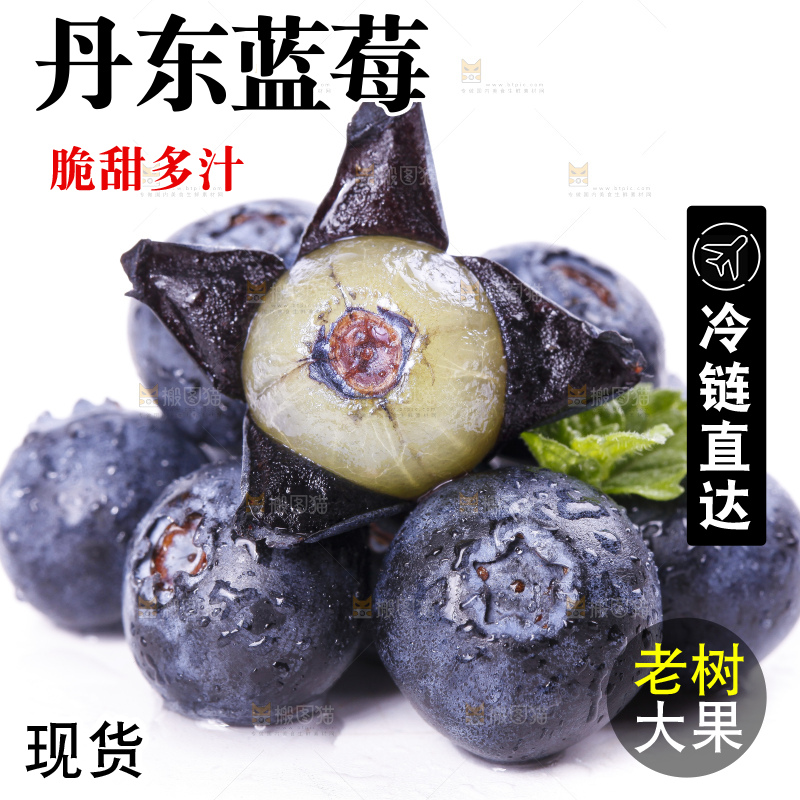 白底上摆放着进口蓝莓
