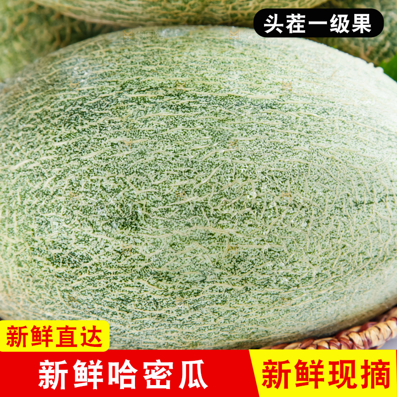 篮子里装着新疆哈密瓜