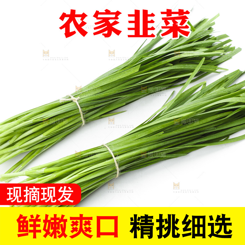 白底上放着韭菜