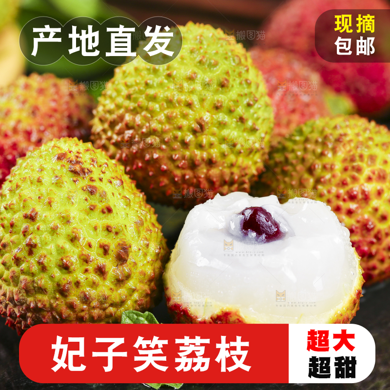 黑底上放着福建妃子笑