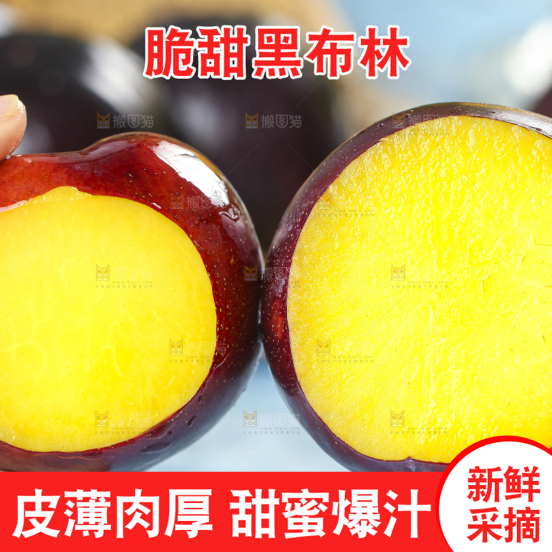 手里拿着陕西黑布林