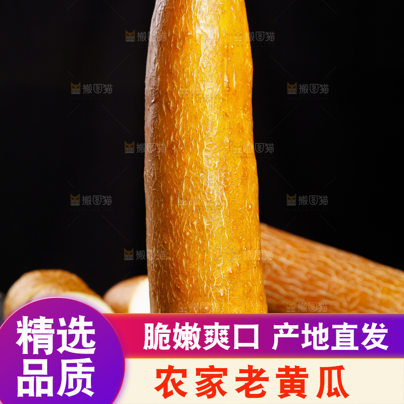 深底上的老黄瓜
