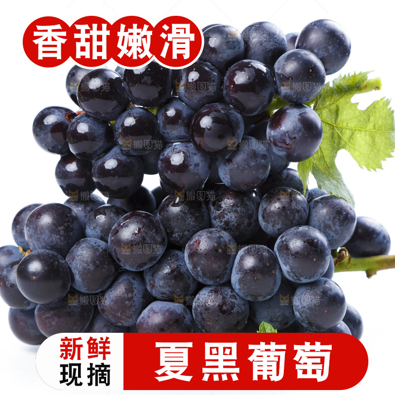白底上的巨峰葡萄