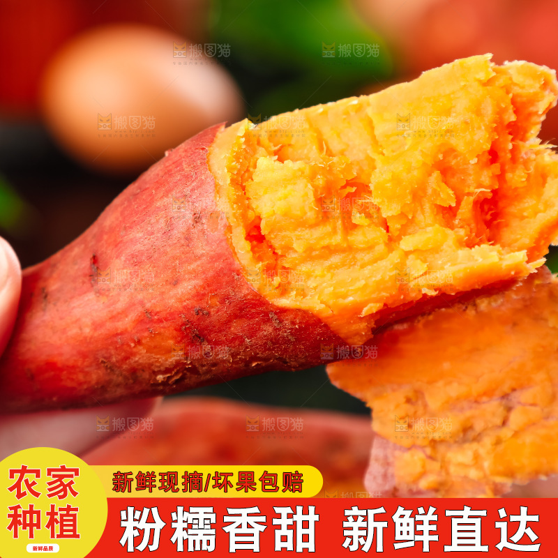 手里拿着板栗薯