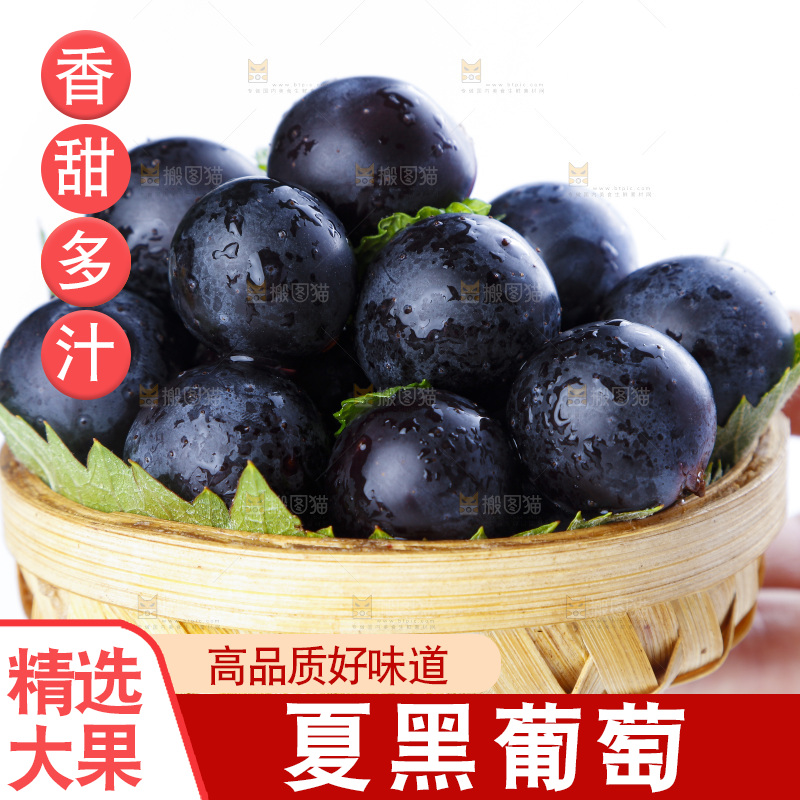 手里拿着黑加仑葡萄