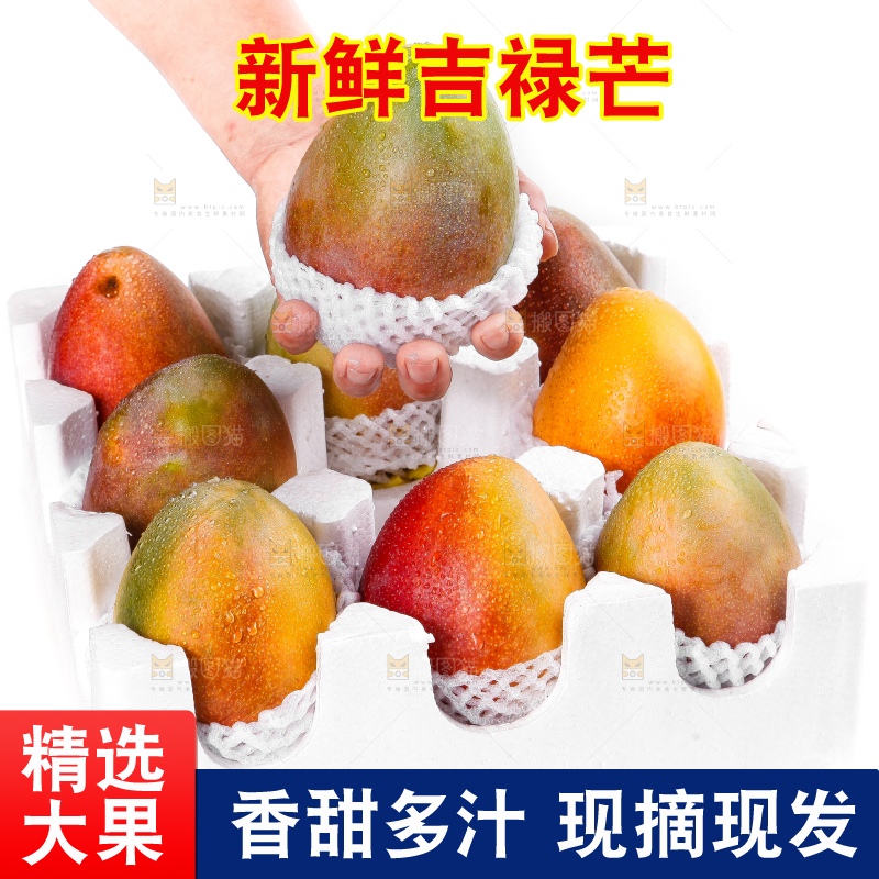 箱子里装着吉禄芒