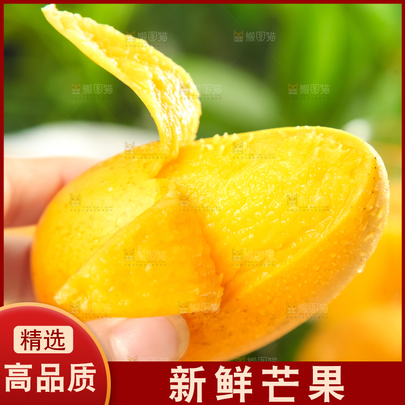 手里拿着芒果