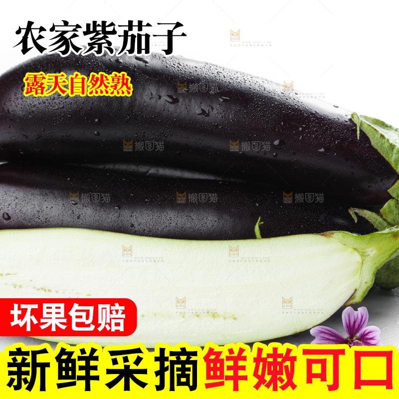 白底上摆放着紫茄子