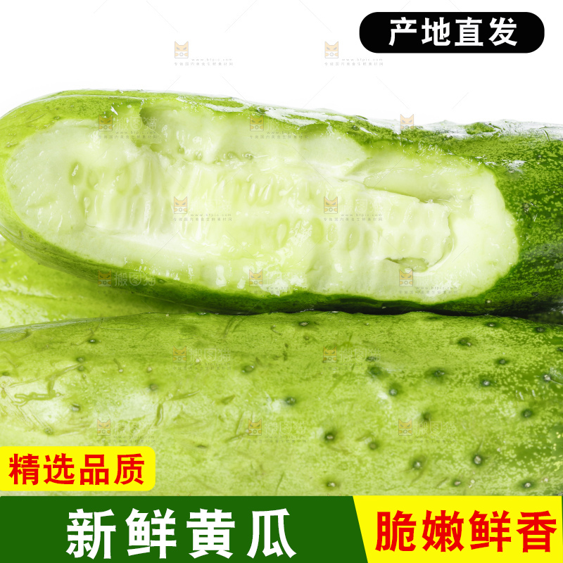 白底上放着刺青瓜