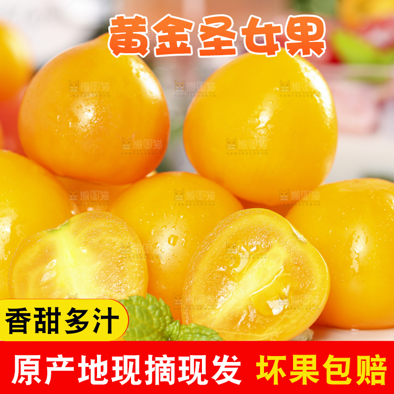 白底上摆放着山东黄金小番茄