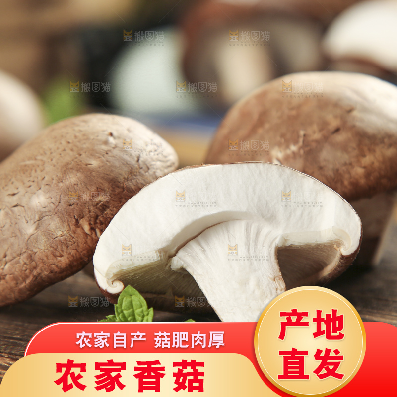 木底上摆放着湖北香菇