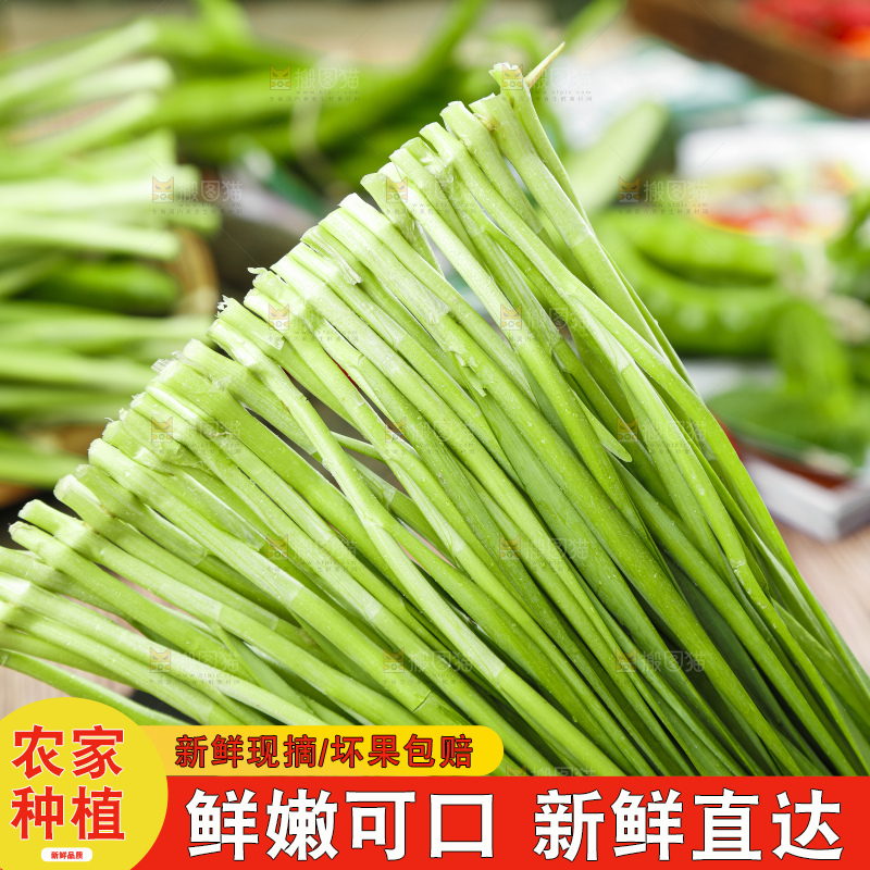 竹签上串着新鲜韭菜