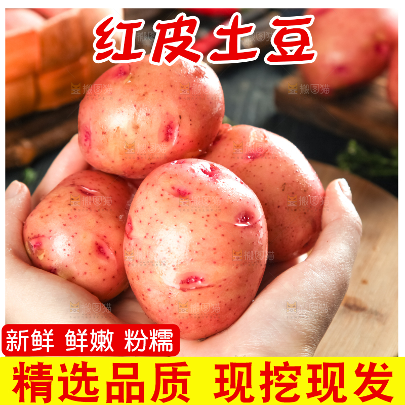 手里捧着土豆